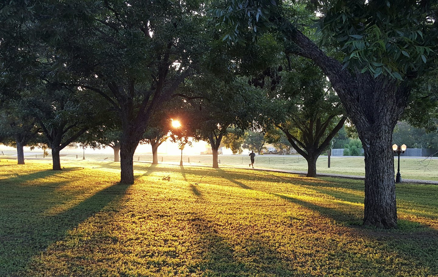 Uomo corre su sentiero nel parco all'alba con luce dorata.